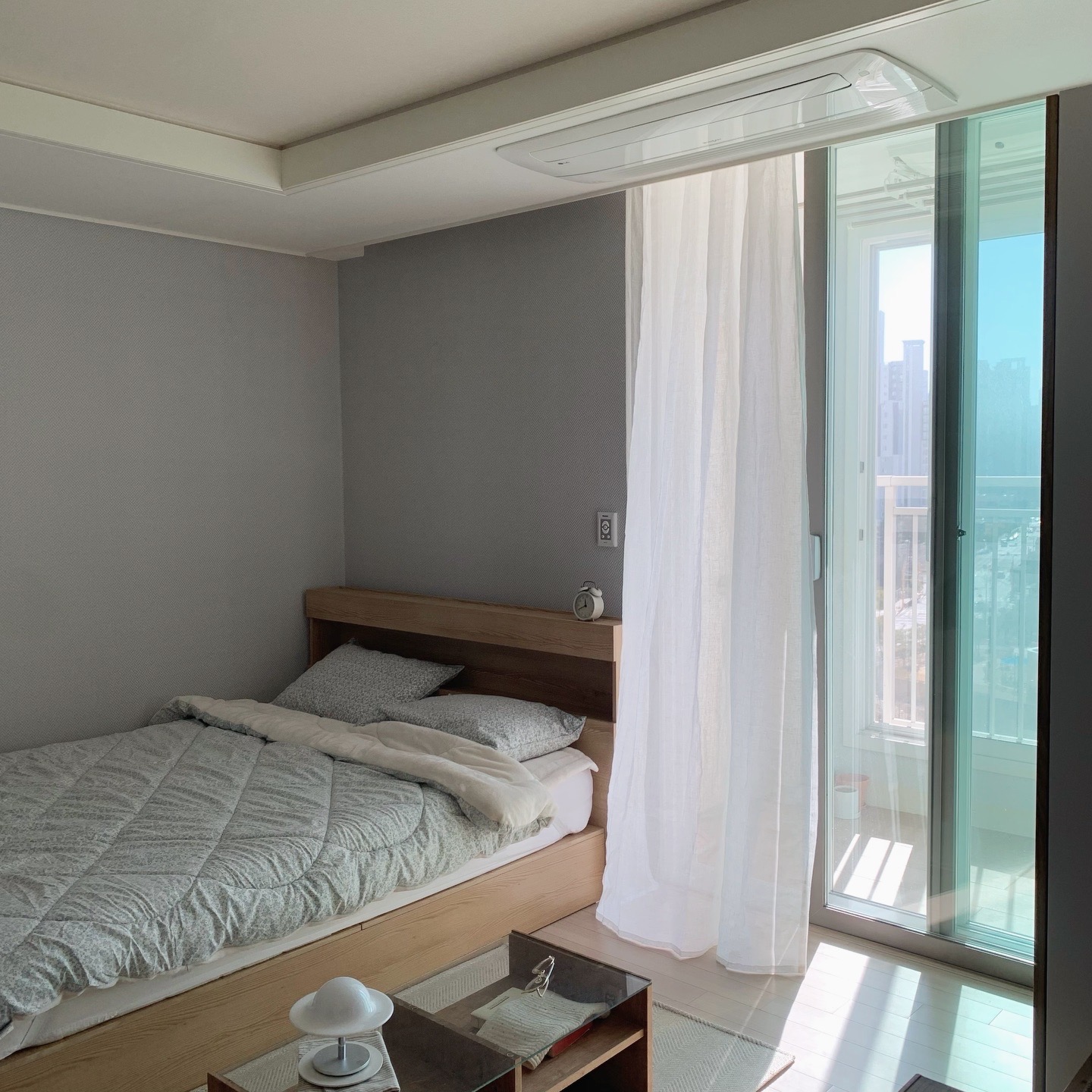 바람에 살랑이는 모습도 좋다